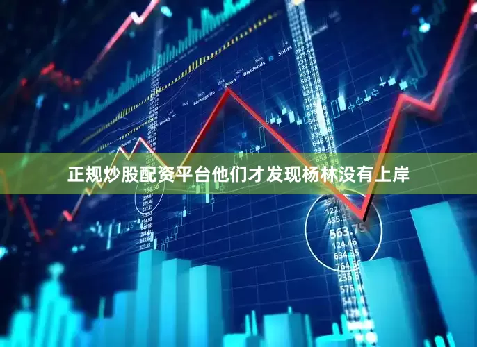正规炒股配资平台他们才发现杨林没有上岸