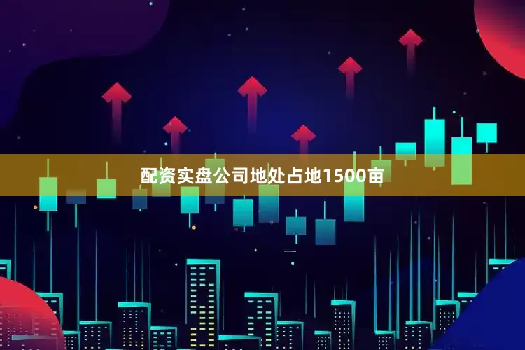 配资实盘公司地处占地1500亩