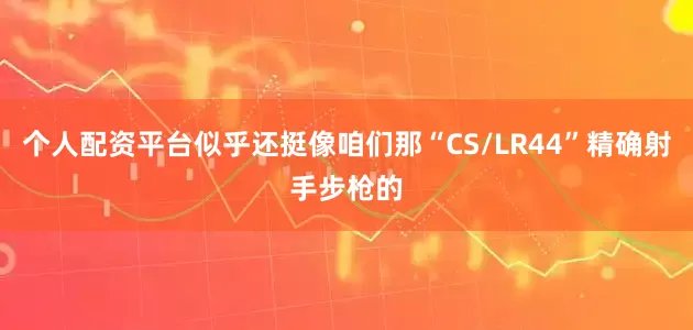 个人配资平台似乎还挺像咱们那“CS/LR44”精确射手步枪的