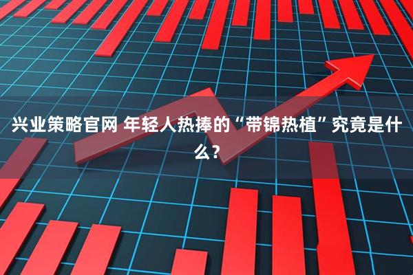 兴业策略官网 年轻人热捧的“带锦热植”究竟是什么？