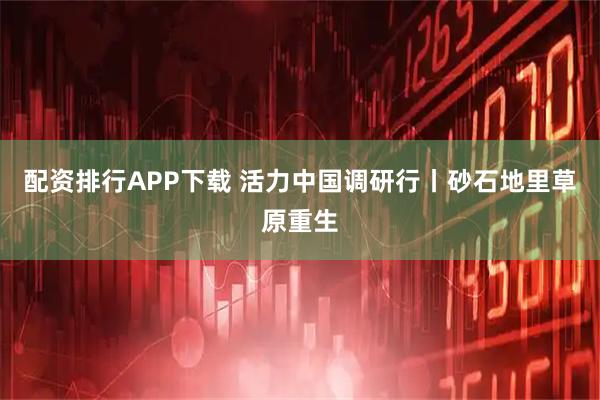 配资排行APP下载 活力中国调研行丨砂石地里草原重生